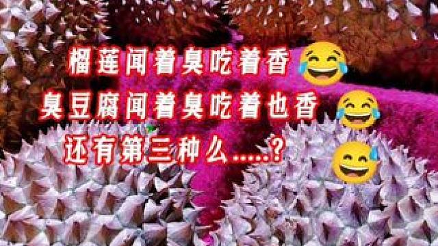 能说出第三个算我输...#茫茫人海中刷到的就是缘分 #榴莲你们一般怎么吃