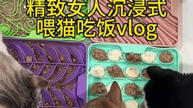 我发布了一个新视频，快来围观吧！