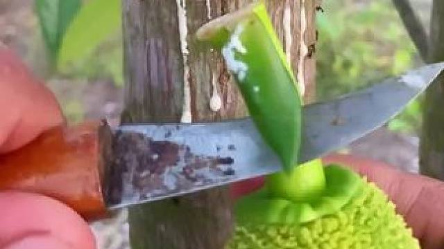 我发布了一个新视频，快来围观吧！