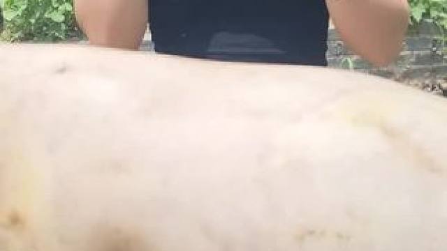 特色美食 #户外烹饪 #原生态农产品 #内容启发搜索