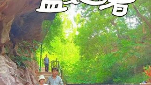 好像所有的故事 都开始于绿意盎然的夏天！
#夏天 #氛围感 #森林氧吧 #养在九峰山