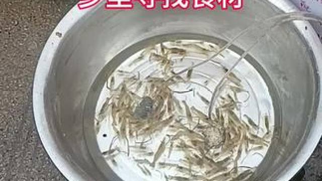 乡里寻“湘”#超A姐妹上台要紧 #乡里相亲 #热门