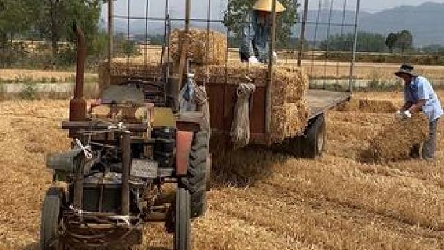 我发布了一个新视频，快来围观吧！