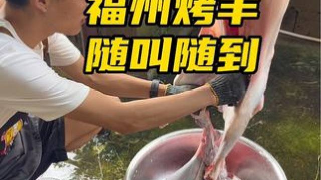 福州市最牛的外卖#真材实料才能做出好味道 #团建 #同城美食 #流动烤全羊 #烤全羊