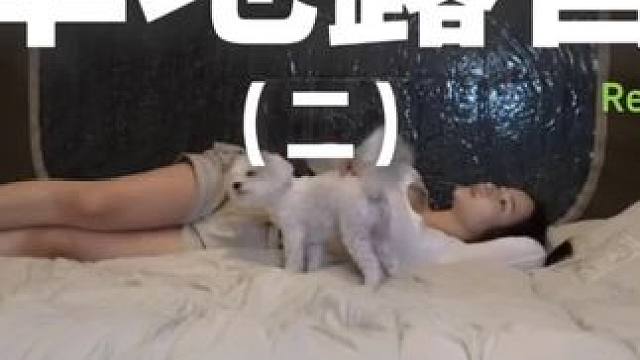 草地露营（二）在湖边的草地露营超赞的也~#露营 #助眠 #解压 #萌宠 #户外露营