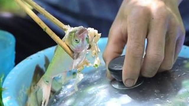 越南特色鱼生 #内容启发搜索 #原始生活 #野外生活纪录片 #越南鱼生#越南美食