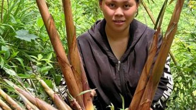 今天去拔了很多苦笋做一餐好吃的 #美食 #农村生活 #记录生活