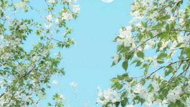 有设计感还超显身材的扎染小上衣！#谁穿谁好看 #收腰显瘦 #小众设计感 #辣妹穿搭 #面料柔软舒适