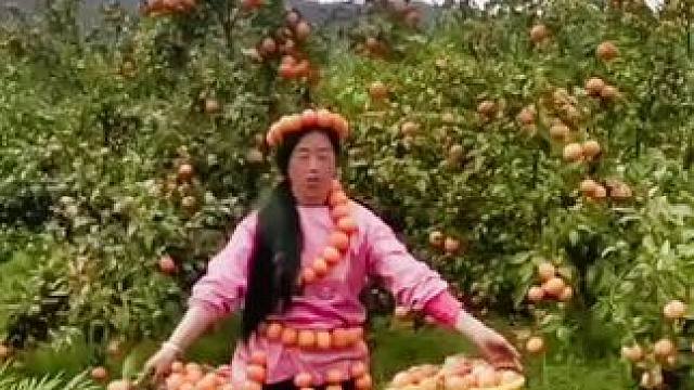 我发布了一个新视频，快来围观吧！