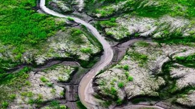 钱塘江畔惊现“生命之树”，每一道纹理都在呼吸，潮水是枝干，绿野为叶脉，自然之力泼墨作画，江水当笔大地