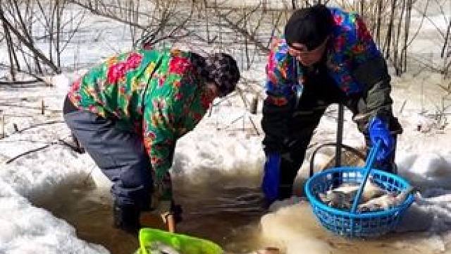 #三农户外捕鱼 #大表哥抓鱼