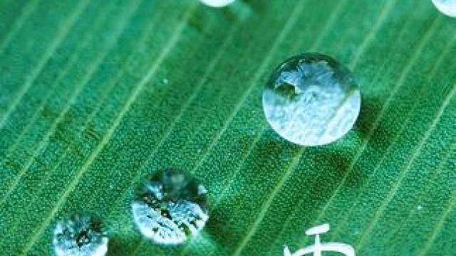 路边见到不起眼的小水滴试试这样拍，只需一个微距镜头拍出创意照#手机摄影 #微距镜头#微距  #拍照神