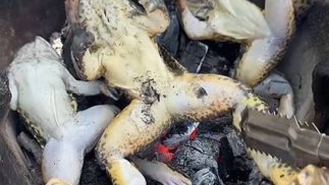 烤几只大牛蛙吃 #内容启发搜索 #美食 #泰国美食 #户外美食