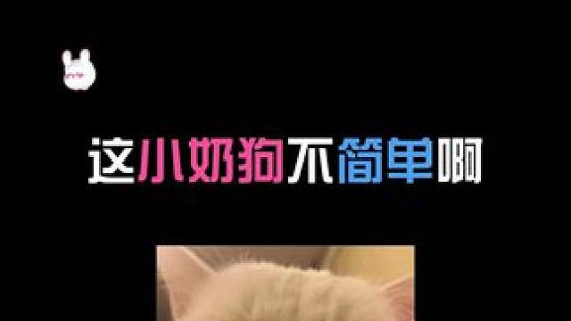 这小奶狗不简单啊 #语音厅 #翻唱 #二次元 #小奶狗 #低音炮