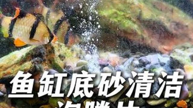 鱼缸底沙容易堆积鱼便和食物残渣，时间久了就会影响水质。 每周根据鱼缸大小放这个泡腾片，保持水清鱼靓！
