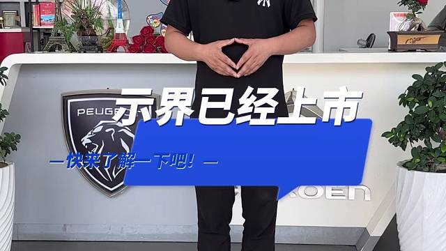 神龙汽车新能源示界06上市了