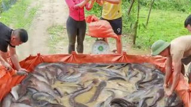 #农村生活 #三农  #美女  #乡村生活