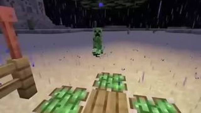 #我的世界 #Minecraft