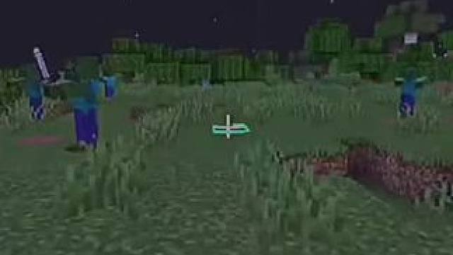 #我的世界 #Minecraft