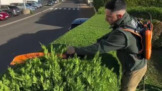 我发布了一个新视频，快来围观吧！