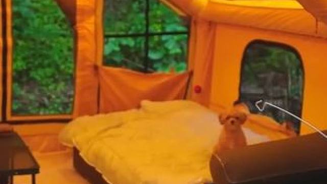 【无限露营】小哥夏日雨中豪华露营 #露营⛺ #沉浸式体验