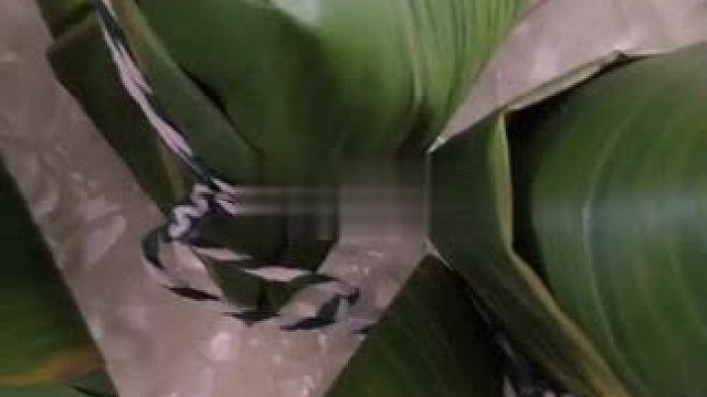 我发布了一个新视频，快来围观吧！