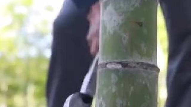 枕头是脖子的依靠，枕头太软，难免会睡得不舒服。#枕头 #大自然的馈赠   #竹制品  #源头工厂