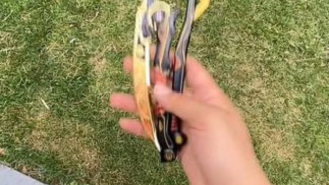 没有男生会拒绝这么酷的apex武器~ #apex英雄 #有男生会拒绝这个玩具吗