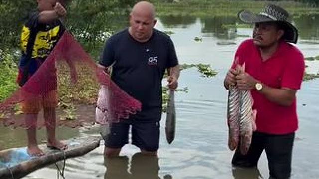 户外抓鱼 #我的乡村生活 #原创视频 #我的日常生活 #搞笑视频 #源头实力厂家