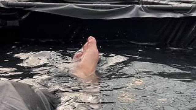 天太热了，先在鱼盆里洗个澡，再分苗##农村创业养殖 #水产养殖技术服务 #水产养殖 #新农人计划 #