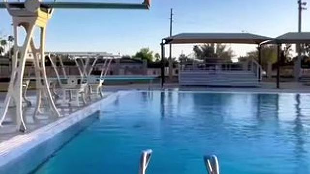 为什么给蚂蚁画个圈，蚂蚁就再也走不出来呢？跟着一起涨知识，做下一个科学家#趣味实验 #科学实验 #亲