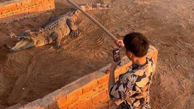 人小鬼大屁话又多。赶条鱼都赶不走#农村创业养殖 #非专业人士请勿模仿