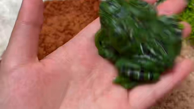 这是蛤蟆还是？