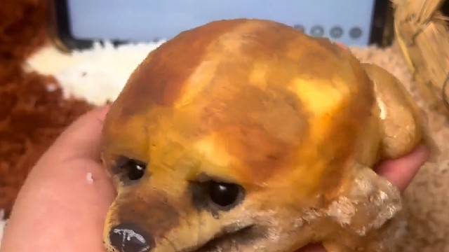 这个有认识的么？