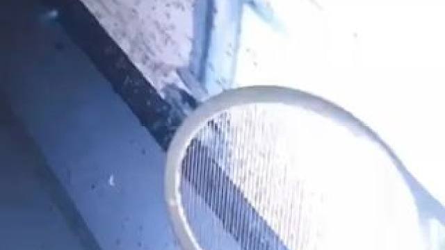 能让蚊子自投罗网的#电蚊拍 有了它晚上睡觉再也不怕被蚊子打扰了~ #灭蚊拍  #防蚊必备  #蚊子克