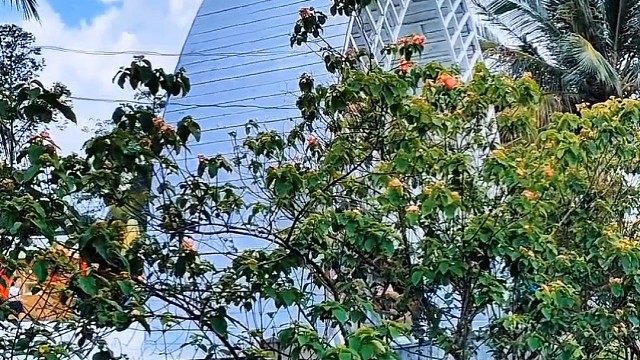 简单做出大片5，愉快假期