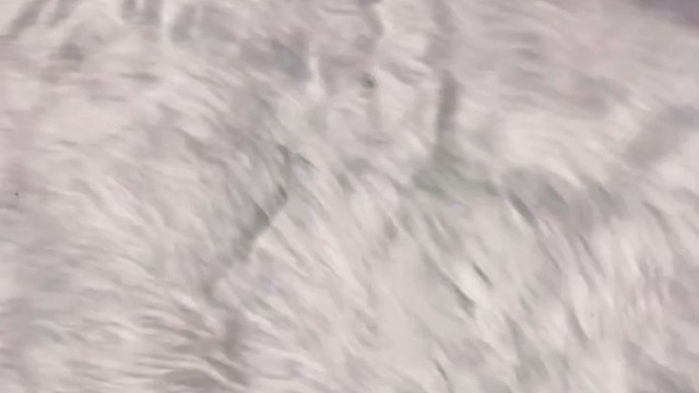 华伦天奴高跟鞋仙女高跟鞋 辣妹高跟鞋 时尚尖头女鞋 高端女鞋 尖头鞋 华伦天奴 华伦天奴高跟鞋