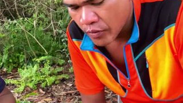 东南亚热带美食 #我的乡村生活 #农村美食记录生活 #我的日常生活 #野外美食