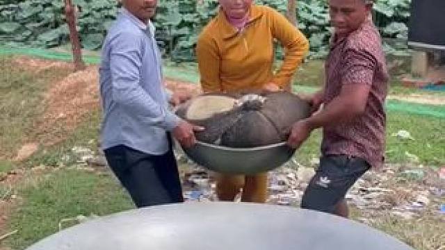 东南亚特色美食 #创作者扶持计划 #我的乡村生活 #我的日常生活 #美食制作分享 #农村美食记录生活