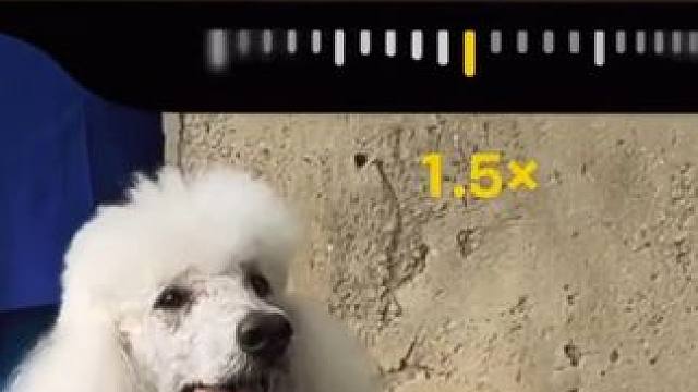 #iPhone7P#iPhone16Pro 更好体验。