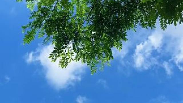 如此被大自然爱着，赞美多少次也不过分 
#大自然#治愈#美好#登高#治愈系风景