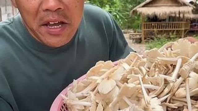 摘了一大盆的白蚁蘑菇‍ #内容启发搜索 #美食 #泰国美食 #户外美食