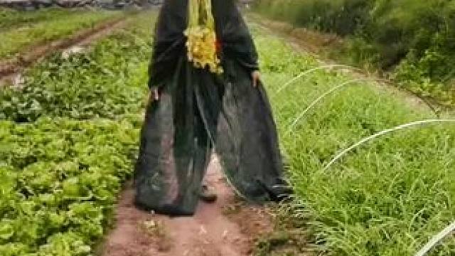 我发布了一个新视频，快来围观吧！