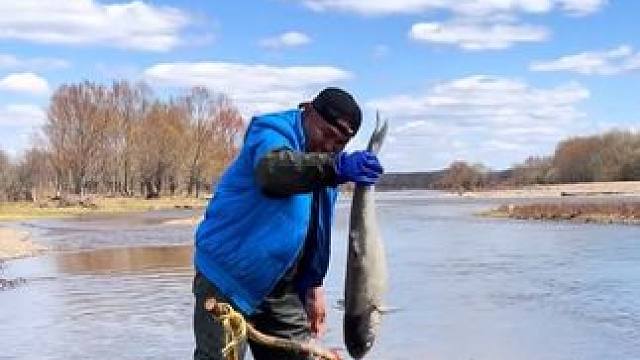 #户外捕鱼逮鱼摸虾