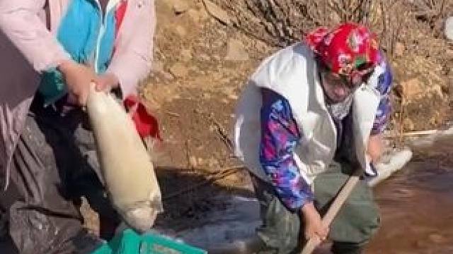 #捉鱼 #见鱼发财