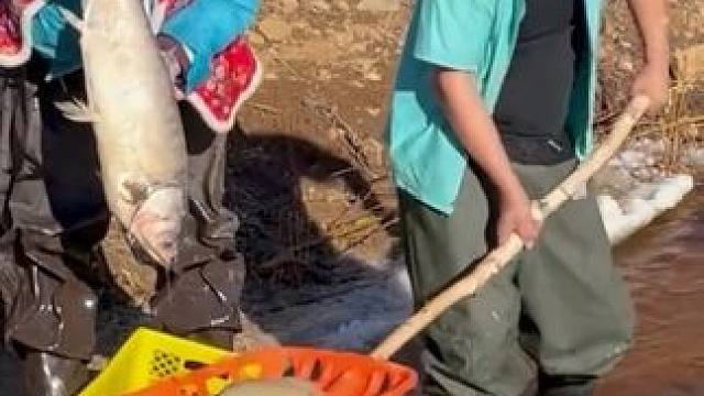 #三农户外捕鱼 #上热门 #见鱼发财