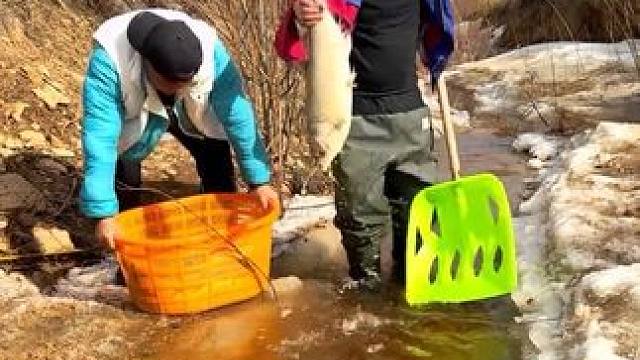 #见鱼发财 #户外捕鱼逮鱼摸虾