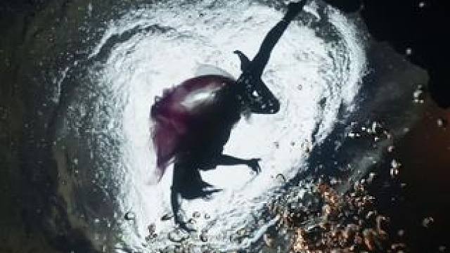 长鹿潜水 #长鹿潜水 #水下摄影henry #henry水下摄影 
：Silvia