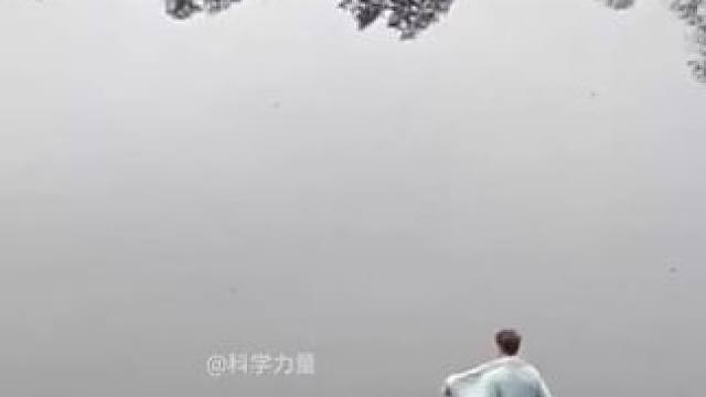 最后一个能惊掉你双下巴的几个不可思议的科学小实验，赶紧动手操练起来吧#涨知识 #亲子互动 #科学启蒙