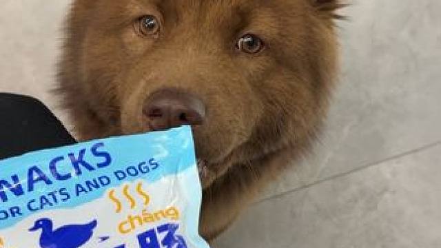 没有哪只小狗能拒绝鳕鱼肠，qq弹弹的配料还干净，9.9这么一大袋，当作训练奖励吃太合适了#土松 #训